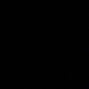 Meet your Posher, Hector